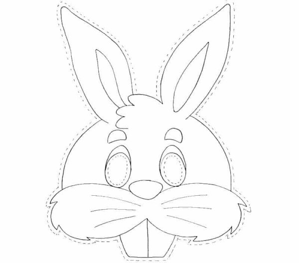 Мордочка зайца