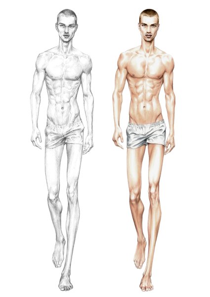 Модель мыжчинытдля рисования