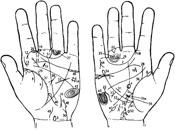 Хиромантия линии