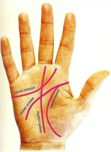 Хиромант линия жизни на ладони