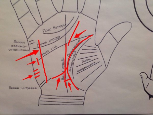 Хиромантия линии на руке