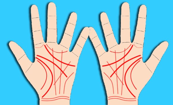 Хиромантия Кейро вы и ваша рука