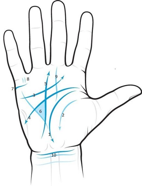 Хиромантия линии на руке