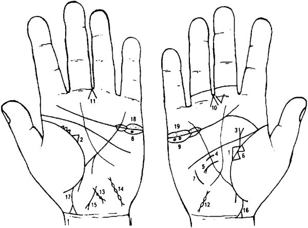 Хиромантия линия жизни
