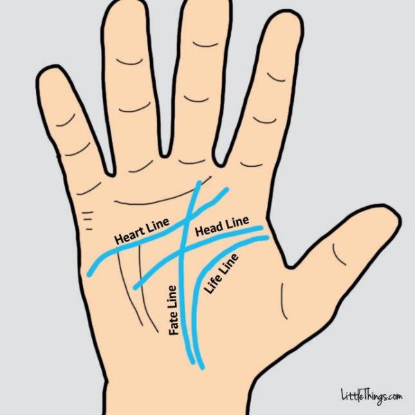 Линии на ладони