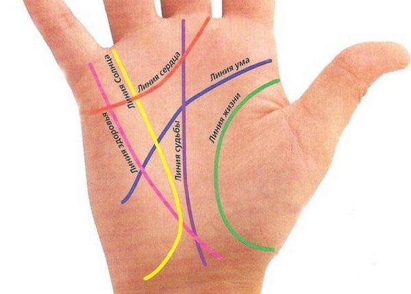Хиромантия линия жизни и линия судьбы