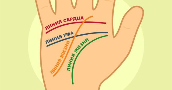 Предсказание по руке