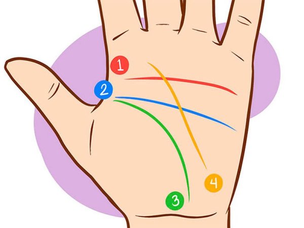 Линия жизни на руке