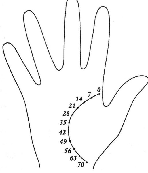 Хиромантия годы на линии жизни
