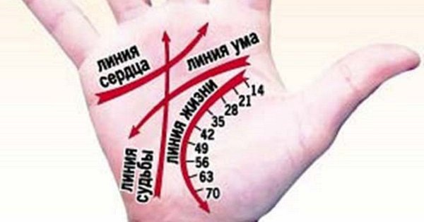 Линия жизни по руке