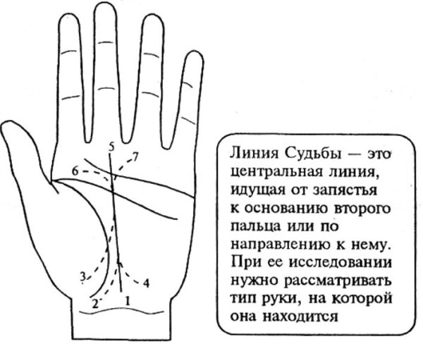 Линия судьбы хиромантия расшифровка профессионала