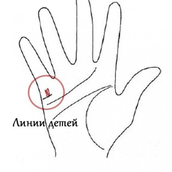 Линии детей на ладони