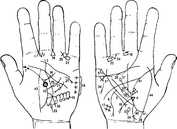Линия на ладони бугор Меркурий
