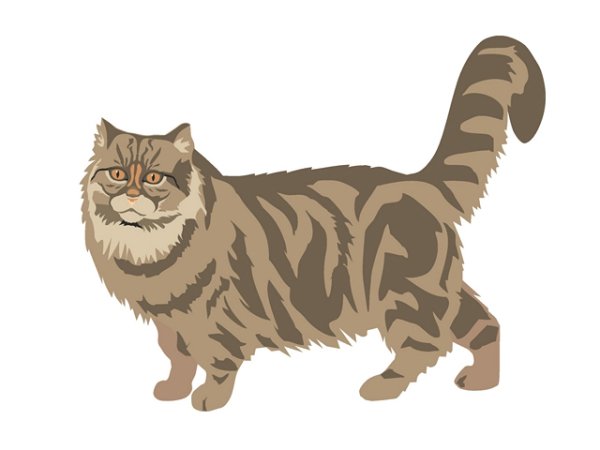 Кот идет иллюстрация