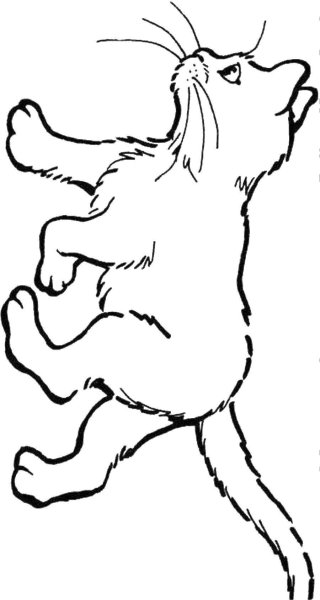 Кот ученый раскраска для детей