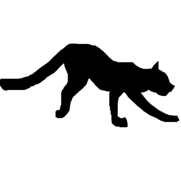 Кошка крадется силуэт