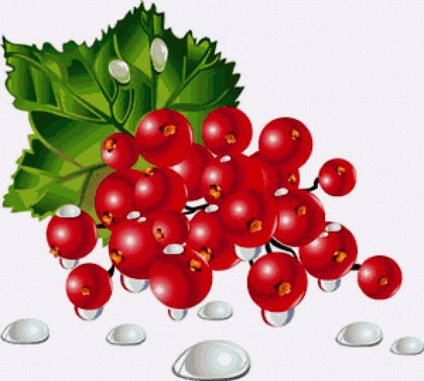 Смородина для детей