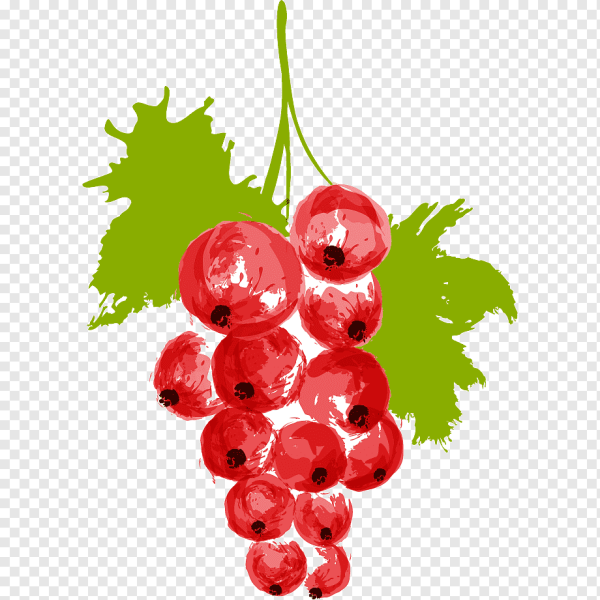 Ягоды рисунок