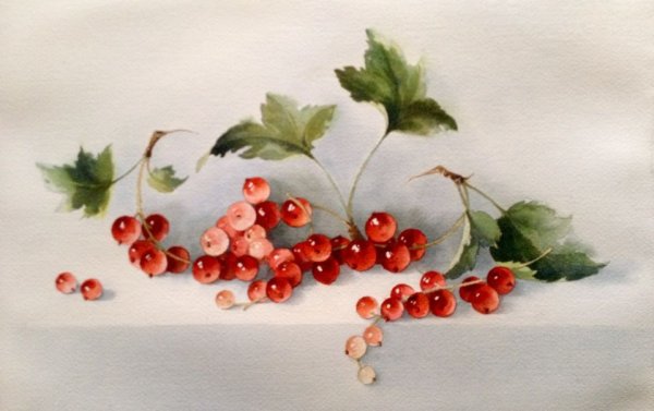 Акварель "смородина" Федора Толстого
