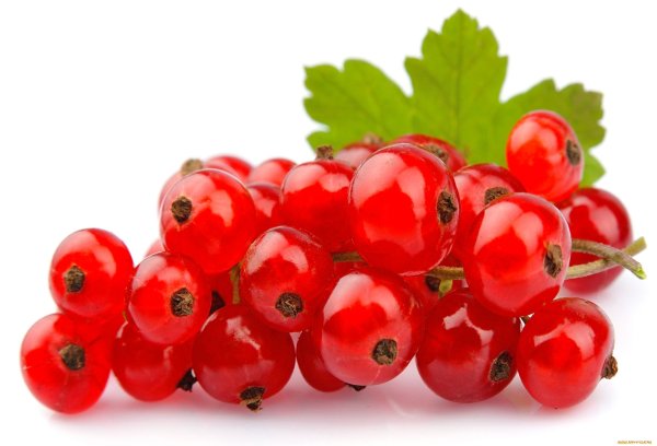 Красная смородина на белом фоне