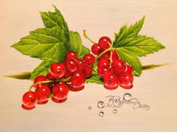 Красная смородина акварель