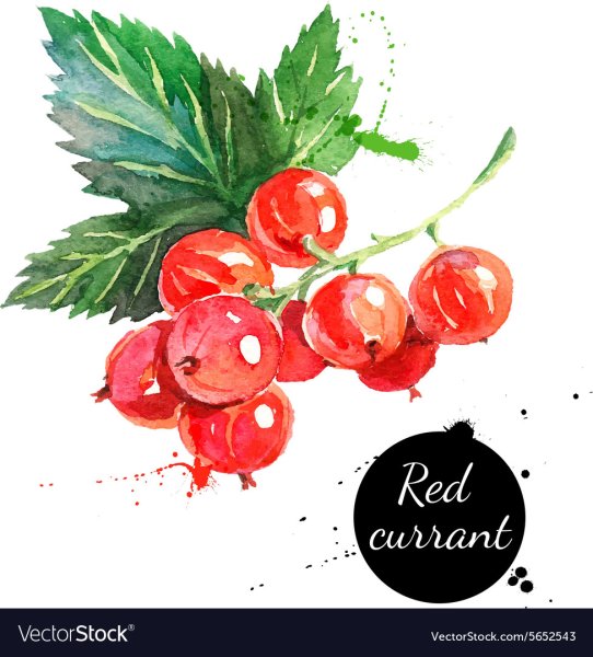 Красные ягоды скетч маркерами