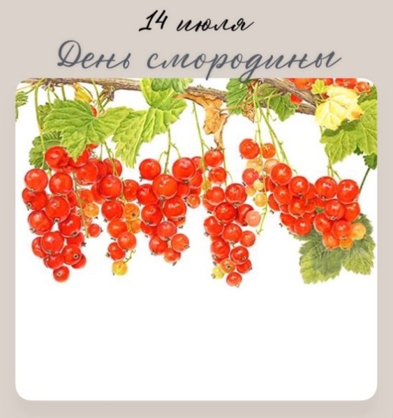 Красная смородина картинка для рисования