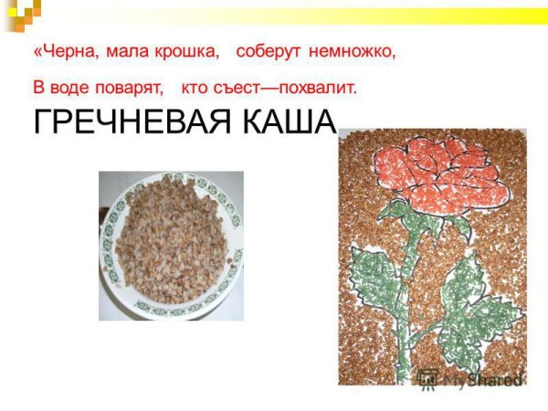 Гречневая каша в тарелке