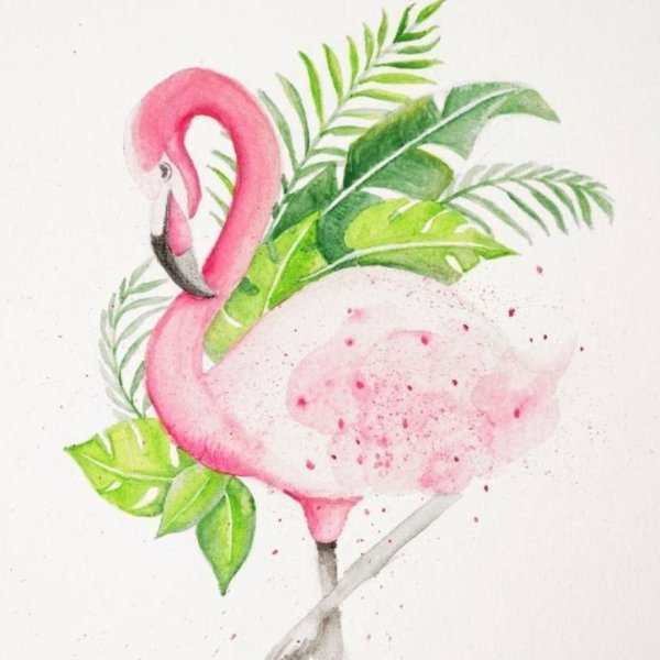 Картины с Фламинго для срисовки