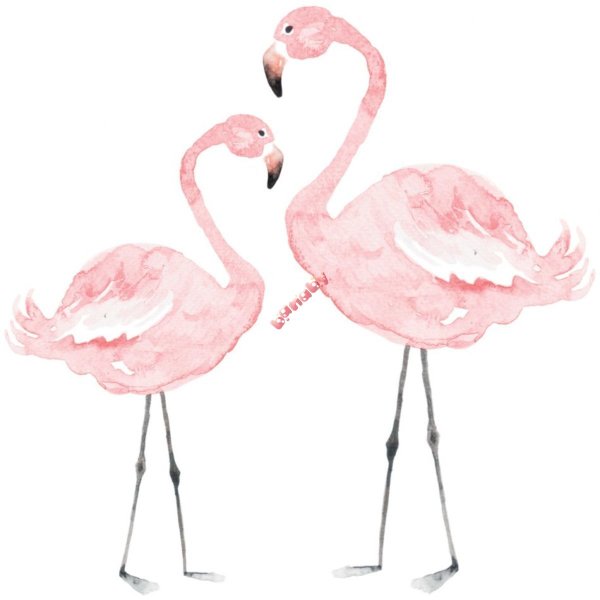 Фламинго рисовать