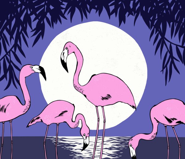 Фламинго мультяшный милый