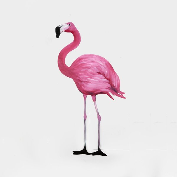 Фламинго 45324