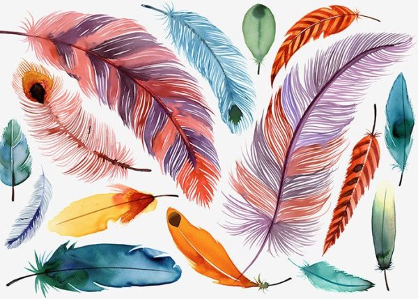 Перо птицы для рисования