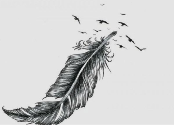 Падающие перья