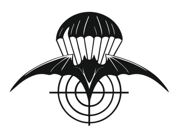 Спецназ разведка летучая мышь