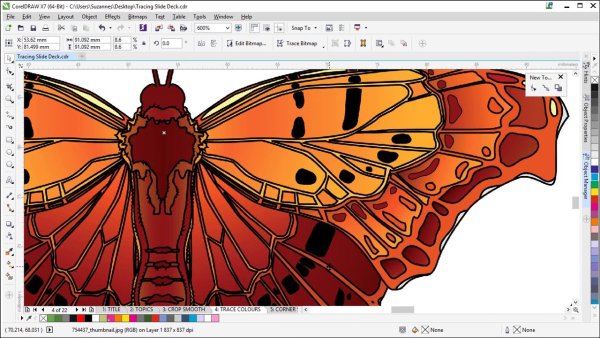 Векторное изображение coreldraw