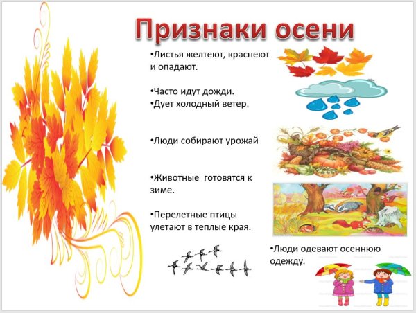 Признаки осени для дошкольников