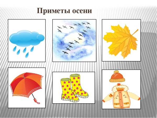 Сезонные иллюстрации