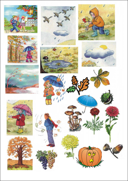 Осенние приметы для детей