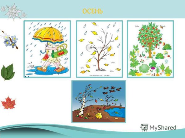 Составление рассказа об осени