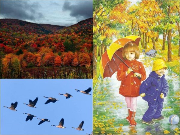 Одежда осенью для детей