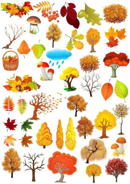 Предметы осени для дошкольников