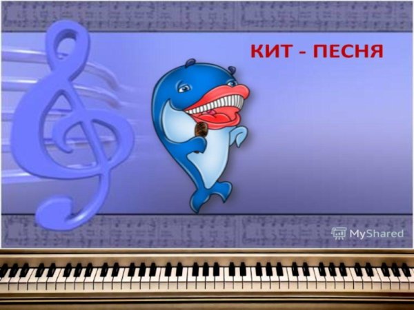 Три кита в Музыке