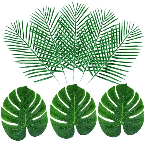 Тропические лист Monstera
