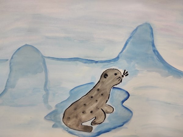 Рисование животные Арктики