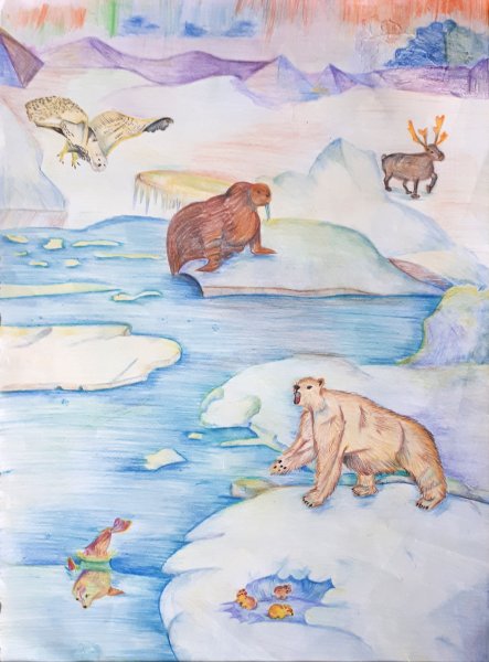 Рисование животных Арктики
