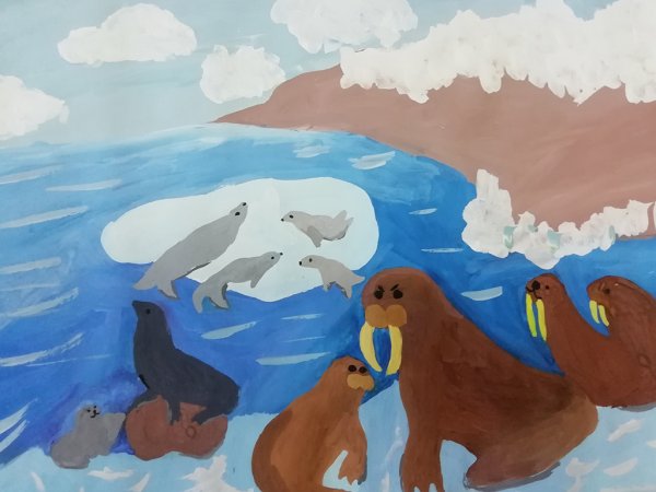 Рисование животных Арктики