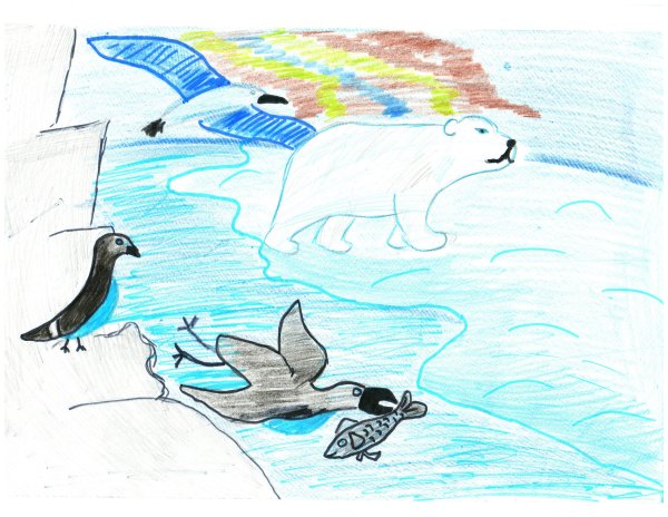 Бережное отношение к Арктике