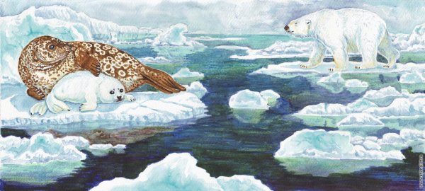 Картин;и животных севера