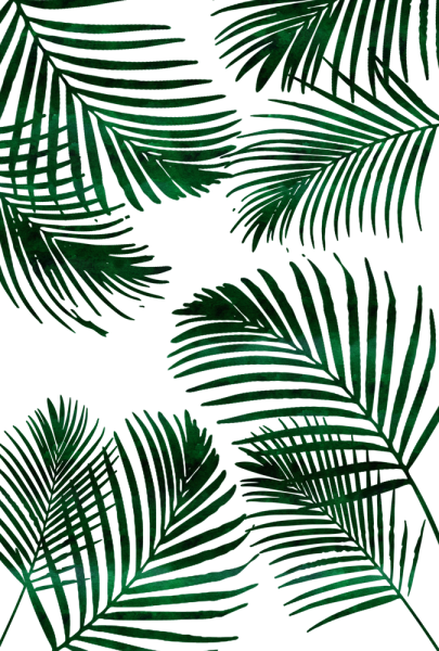 Лист пальмы СВГ